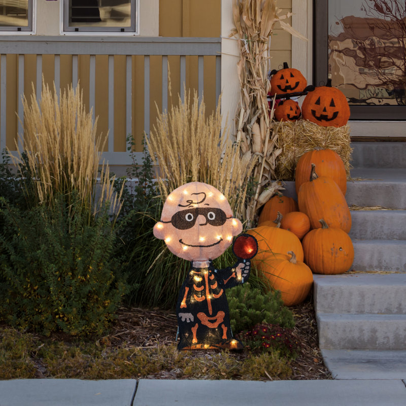Peanuts 18in Peanuts LED PreLit Charlie Brown Bones