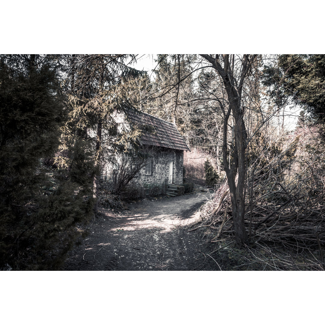 Abandoned Cottage On Forest Path von Coldsnowstorm - Leinwanddrucke