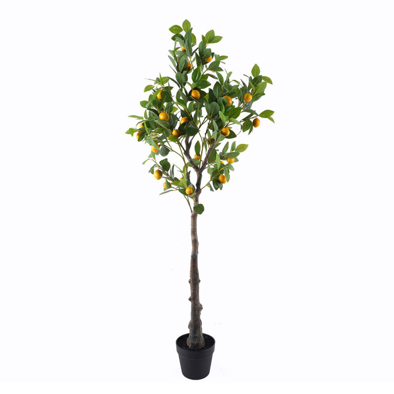 Annasia 160cm Tree