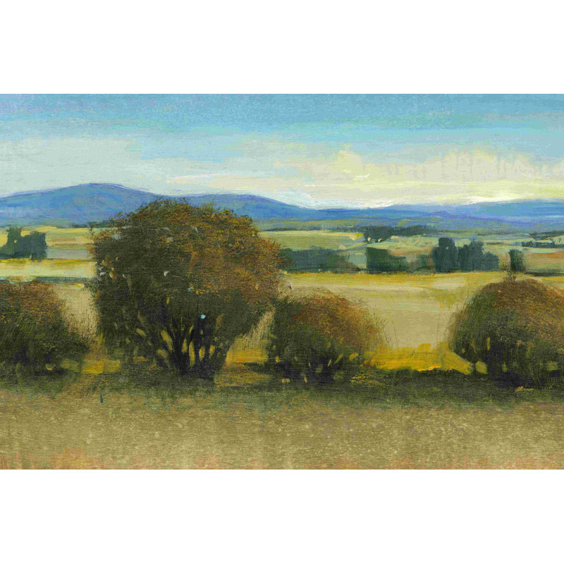 Verdant Meadow II - Wrapped Canvas Painting, 20" H x 30" W  