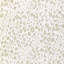 Leopardos-407389385