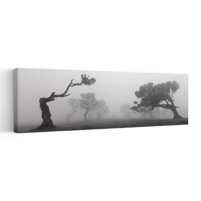 Gnarled Trees In Mist Dramatic Abstract Contemporary Forest Landscape Wall Art