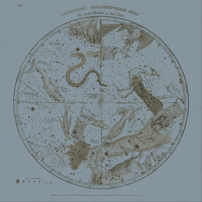 Southern Circumpolar Map, 51cm H x 51cm W x 3.8cm D
