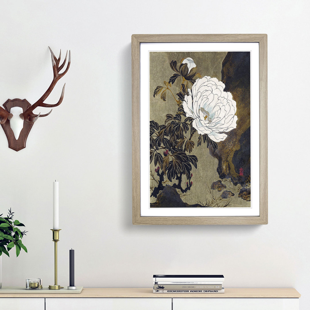 A Peony Flower by Shibata Zeshin - Framed Print