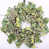 Green and White