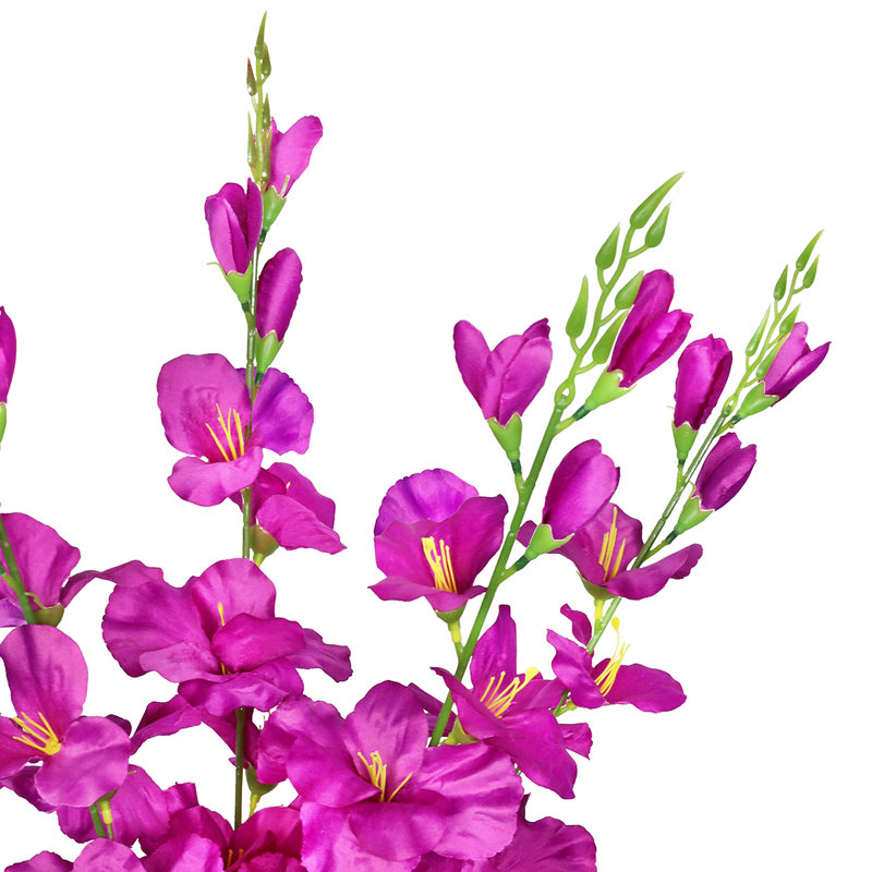 Gladiolus Stem, Lavender Purple
