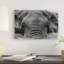 « éléphant partial submerged » par anders jorulf, impression sur toile-73554196-73554197-73554198