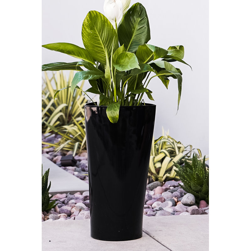 Leyanna Self-Watering Pot Planter, Black