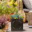 Planter, Chelsea Flower Box Garden Planter, Light Stone Outdoor Plant Pot-123806604