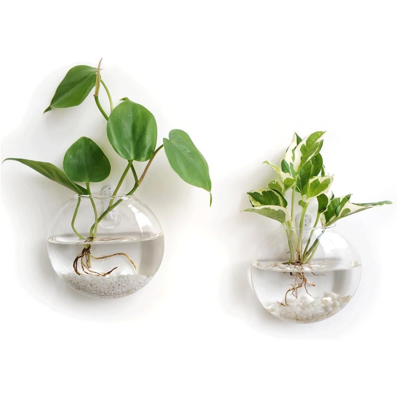 Wall Hanging Propagation Vases Set, 2
