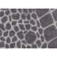 One-of-a-Kind 9'6" X 13'5" Area Rug