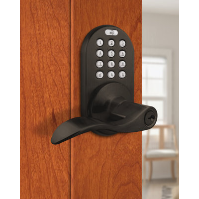 Levier de porte électronique