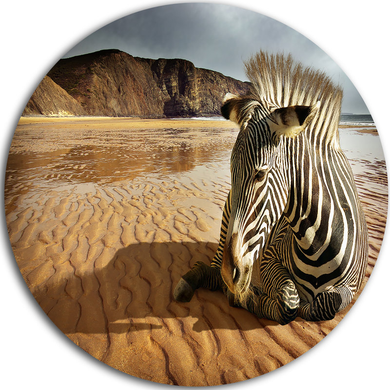 Beach Zebra Photographic Print on Metal, 23" x 23"