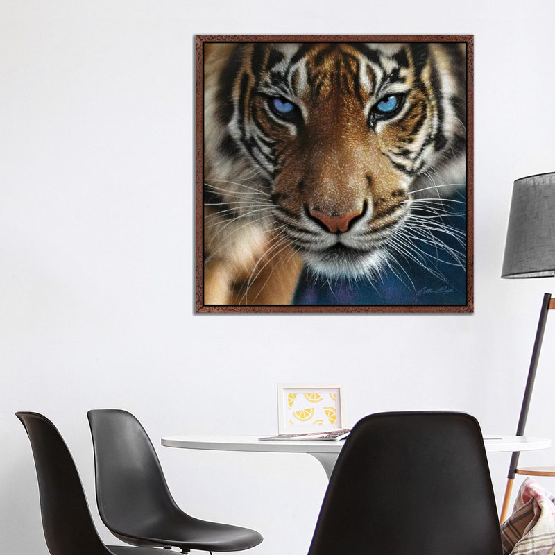 Tiger - Blue Eyes by Collin Bogle - Print on Canvas, Classic Brown Wood Framed Canvas, 93.98 cm H x 93.98 cm W