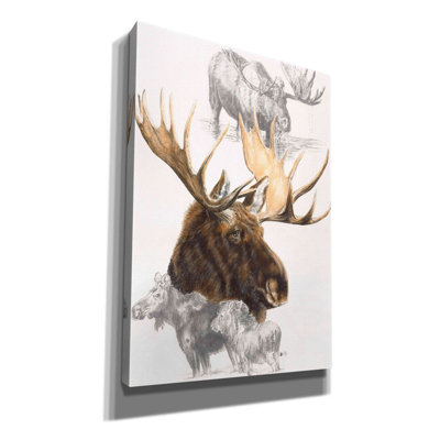 «Moose» par Barbara Keith, Epic Graffiti, art mural sur toile, 40 po x 60 po