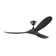 Obsidian Ceiling Fan
