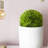 Faux Foliage Topiary Green Artificial Foliage Ball