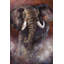 Bergerac - Wrapped Canvas Painting-19914717