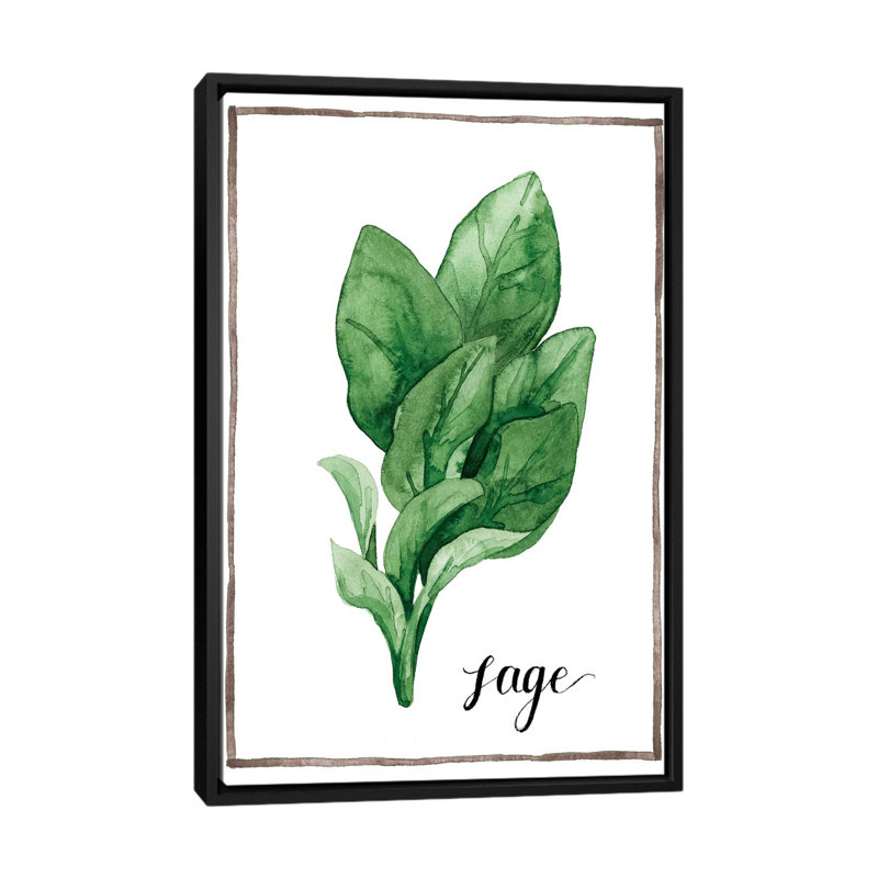« aquarelle herbes vi », impression sur toile, H 26 po x l 18 po x P 1,5 po, Toile avec cadre noir, Pas de tapis