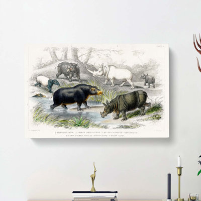 Hippopotamus And Rhinoceros by Oliver Goldsmith - Wrapped Canvas Painting