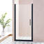 Porte de douche pivotante simple pivotante