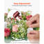 Rose Arrangement