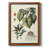 " Imperial Foliage III "-269446434