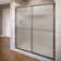 Deluxe 52'' - 54.25'' W x 64.5'' H Bypass Frameless Shower Door with Pattern Glass