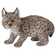 Lynx Kitten Statue
