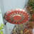African Sunflower Birdbath with Wall Mount Bracket-64543495