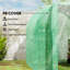 10 Ft W x 6 Ft D Greenhouse