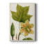 Arbres à fleurs antiques IV - peinture sur toile tendue-467998676
