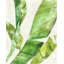Tropical Vacation II Print by Barclay Butera-30726637-30726638