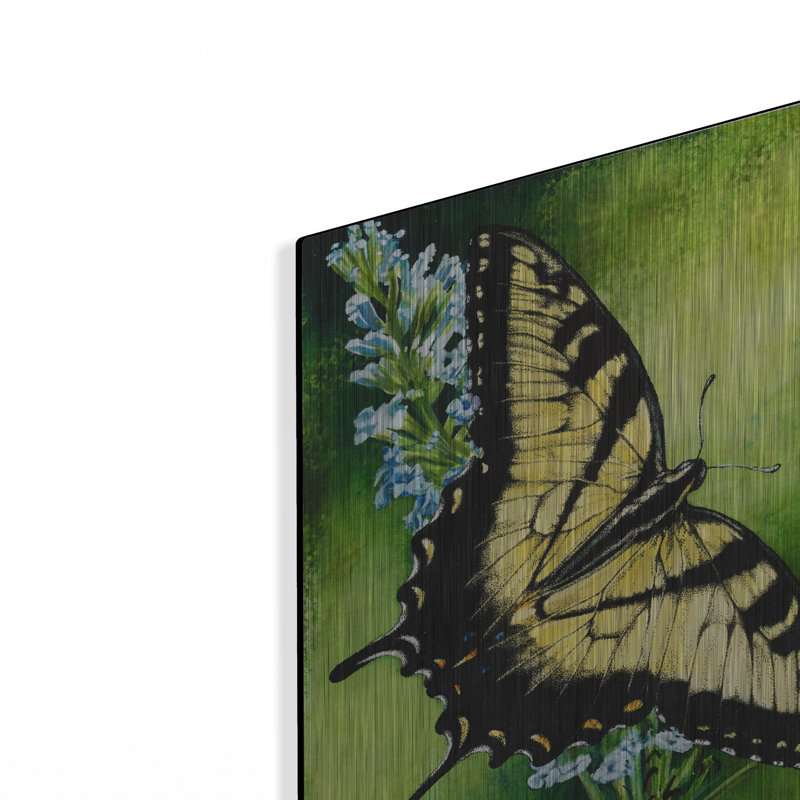 «Fragile Beauty» par Barbara Keith sur, H 16 po x l 12 po