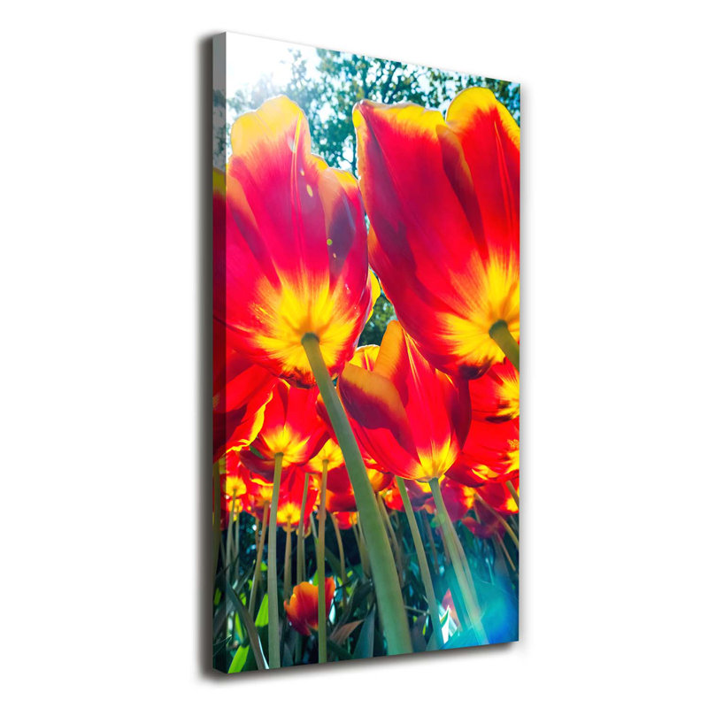 Red Tulips - Wrapped Canvas Print