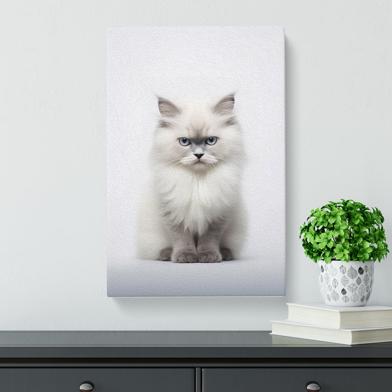 Ragdoll Cat Minimalism No.2 - Print, 60cm H x 40cm W x 3cm D