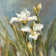 Spring Iris II by Danhui Nai - Wrapped Canvas Art Prints