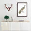 Peacock-Pheasant by John Edward Gray - Picture Frame Painting Print-55582874-55582873