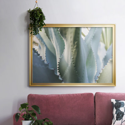 Blue Agave II, reproduction d'art sur toile