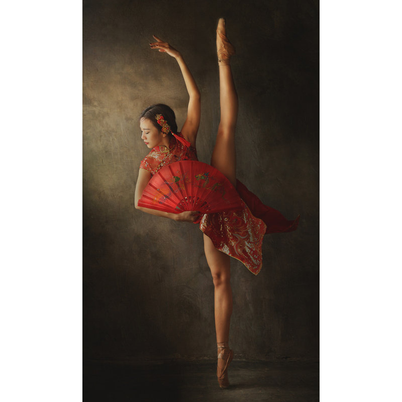 Wrapped Canvas Print, 50.8 cm H x 76.2 cm W