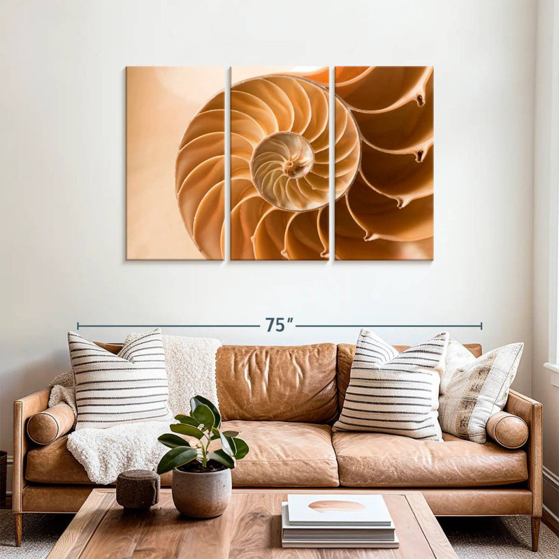 Aletra Nautilus Shell Inside, 36" H x 57" W