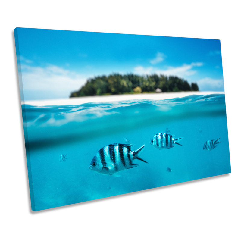 Marine Fish Reef Desert Island - Wrapped Canvas Print, 30.5cm H x 45.7cm W x 2cm D