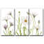 «Cape Daisies», reproduction de photo sur toile tendue 3 pièces-30660223
