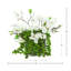 Magnolias and Succulents Arranged in Glass Vase