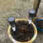 Customer photo 3 of 3