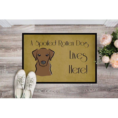 Ubly Non-Slip Outdoor Doormat