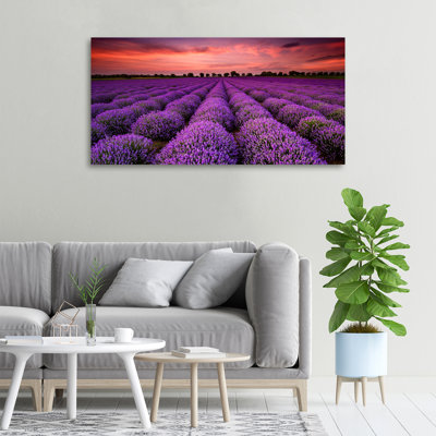 Lavender Field - Wrapped Canvas Print