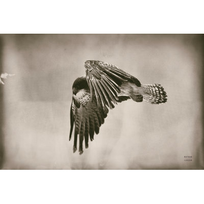 Landing Home par Nathan Larson