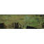 Queensboro Crossing by Tracy Silva Barbosa - Wrapped Canvas Panoramic Painting-165541665