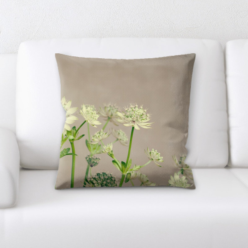Coussin de plante